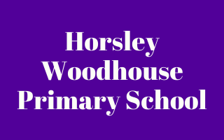 Horsley Woodhouse Primary School