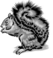 Locking Primary School