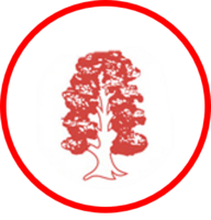 Elm Tree Infant & Nursery School