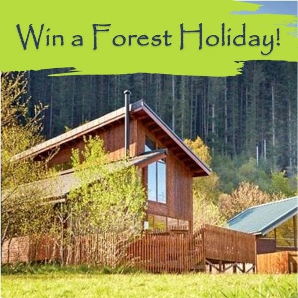 win a forest holiday staycation with your school lottery