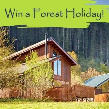 Win A Forest Holiday This Term